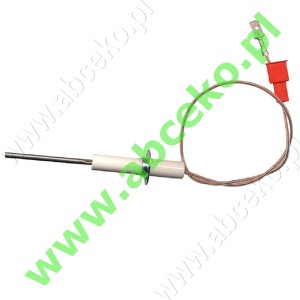  Elektroda jonizacji Buderus, Sieger 