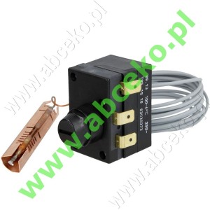 Termostat 89.13/U/TK 100°C, Buderus PGW..., Sieger...