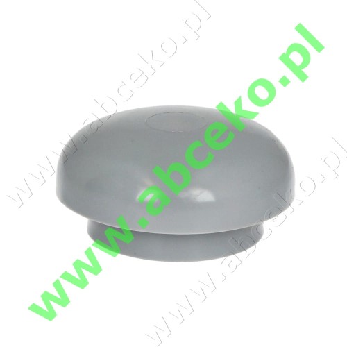 plast.jpg