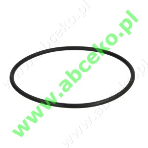 Oring pompy paliwa Danfoss RSH