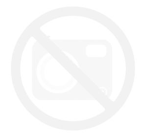 Dystrybutor gazu Riello E14G4SFN