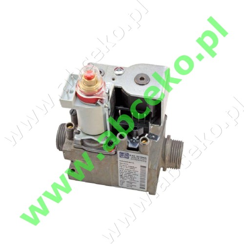845063.jpg