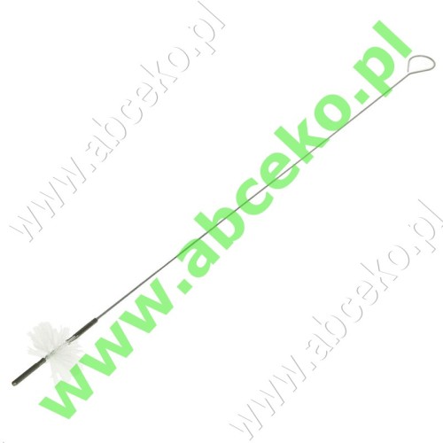 412696016_Bud.jpg