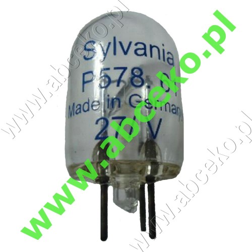 Sylviana P 578.61.jpg