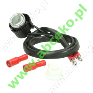 Termostat podgrzewacza oleju Riello RG0.2R...