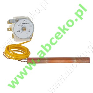 Czujnik bezpieczeństwa STW, De Dietrich DGX/DGS