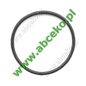  Oring fil. gaz. Kromschröder GFK DN 200 i 250