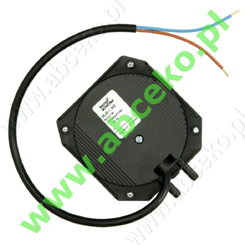 DL2E-1 30Z_479022694.jpg