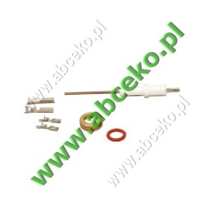 Elektroda jonizacyjna Ferroli Econcept 15A