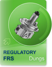 Dungs_FRS