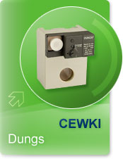 cewki dungs