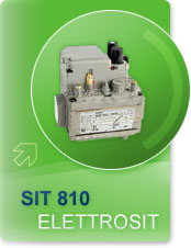 SIT 810