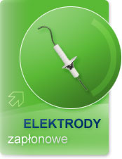 Elektrody zapłonowe Remeha